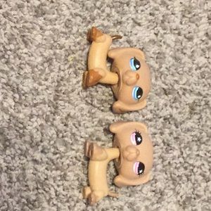 Littlest pet shop